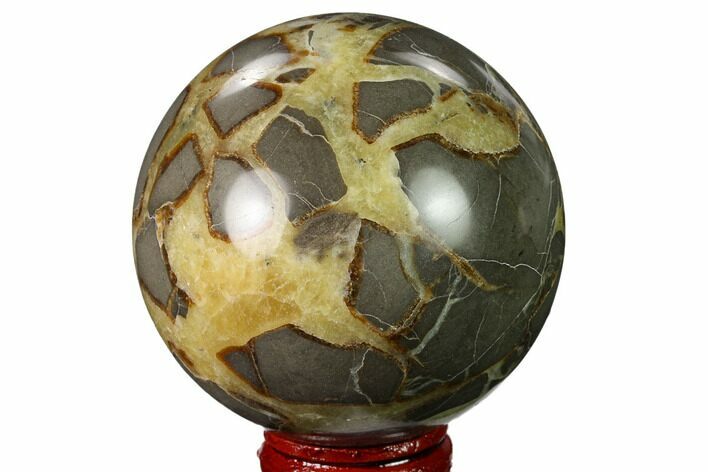 Polished Septarian Sphere - Utah #167618